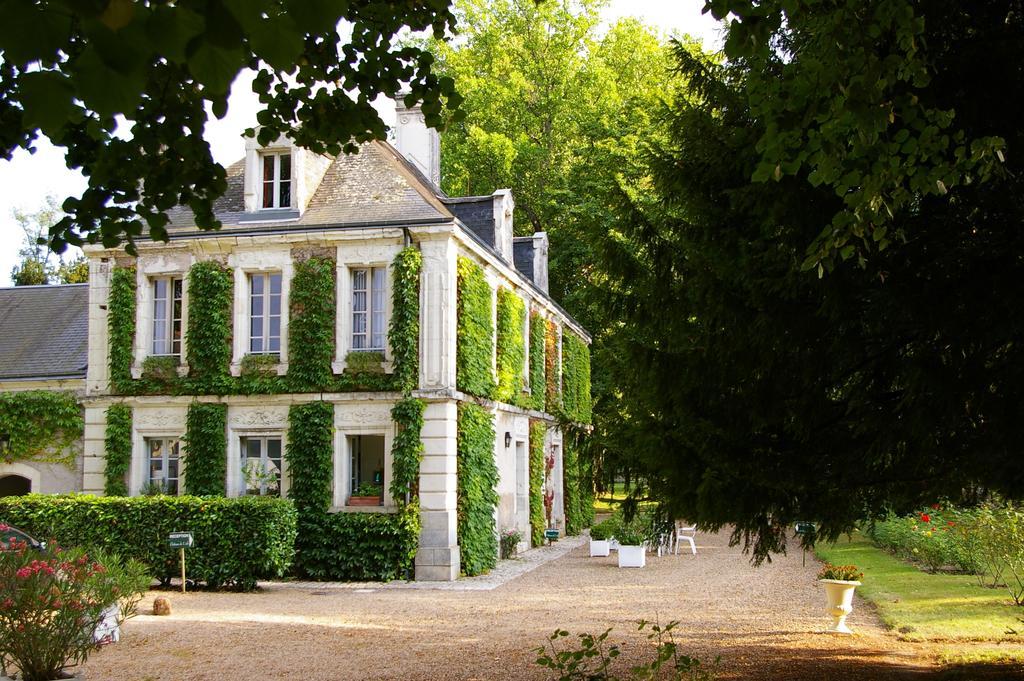 Hostellerie Du Chateau De L'Isle La Croix-en-Touraine Pokój zdjęcie
